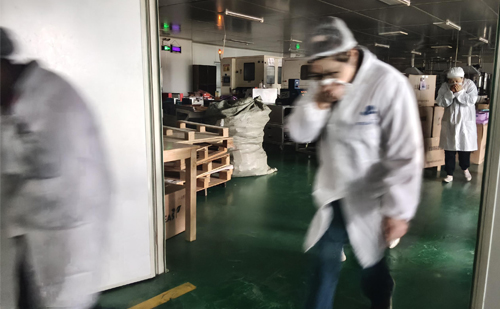 加强安全防御以保障企业发展——公司消防演习于2025年12月2日圆满结束